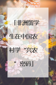 非洲留学生在中国农村学“兴农”密码